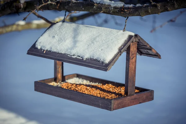 Alimentatore di uccelli in legno su un albero in inverno — Foto Stock