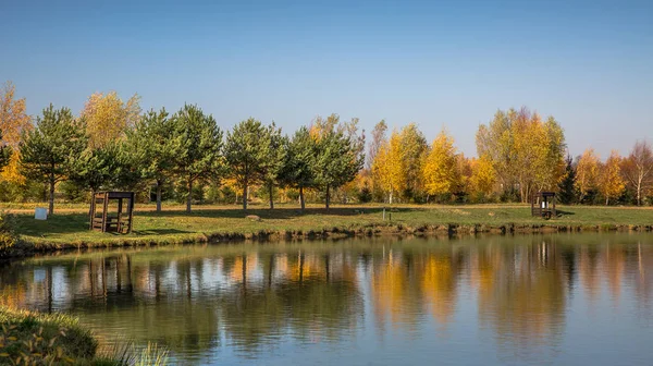 Trees on the Lake — Stock Photo, Image