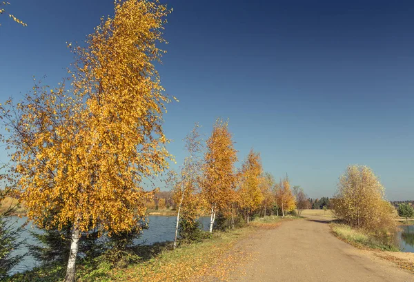 Route d'automne près du lac — Photo