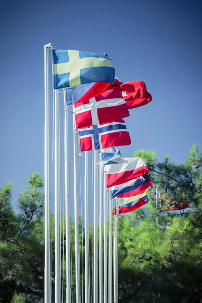 Flags on the flagpole — Stock Photo, Image