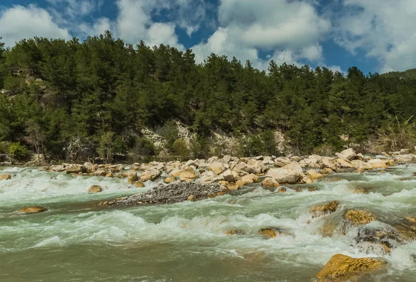 Rio da montanha na primavera — Fotografia de Stock