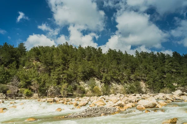 Rio da montanha na primavera — Fotografia de Stock