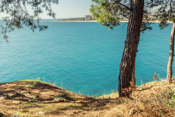 Forêt méditerranéenne de conifères en Turquie — Photo