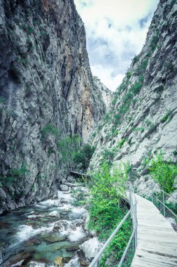 İlkbaharda Sapadere Kanyonu, Alanya Türkiye
