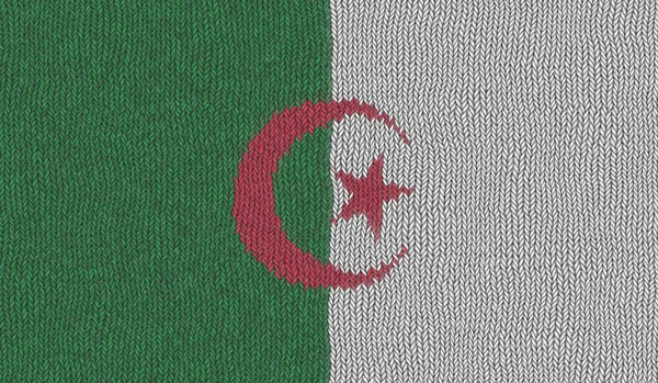 Illustrazione Una Bandiera Maglia Dell Algeria — Foto Stock