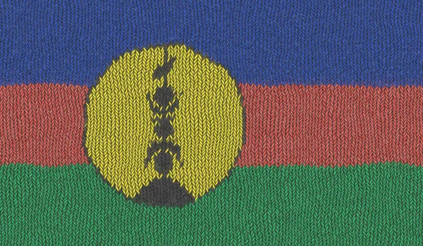 Иллюстрация Трикотажного Флага Новой Каледонии — стоковое фото