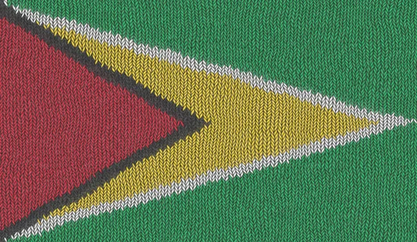 Illustration Einer Gestrickten Flagge Von Guyana — Stockfoto