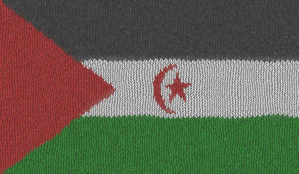 Illustration Knitted Flag Sahrawi Arab Democratic Republic — Stock Photo, Image