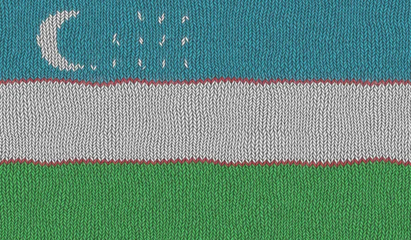 Illustration Stickad Flagga Från Uzbekistan — Stockfoto