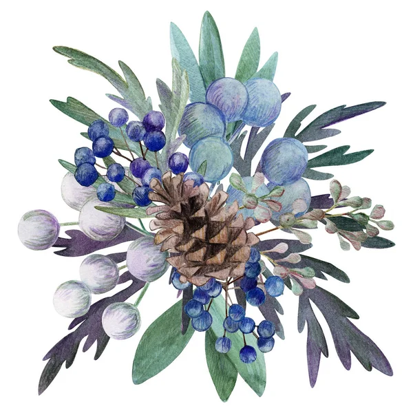 Цветочное оформление акварелью с конусами и ягодами, ручная иллюстрация — стоковое фото