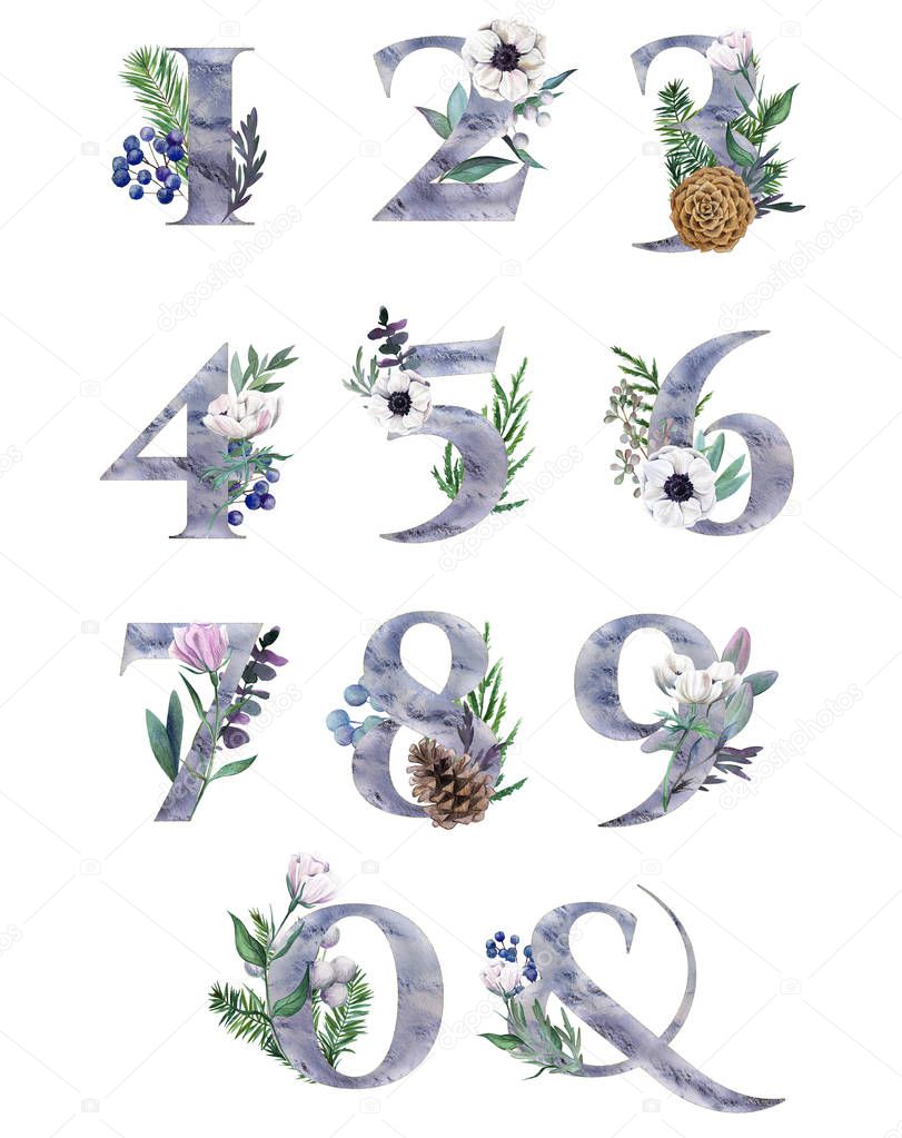 Decorative floral numbers with ampersand, with silver numbers and watercolor botanical decoration.