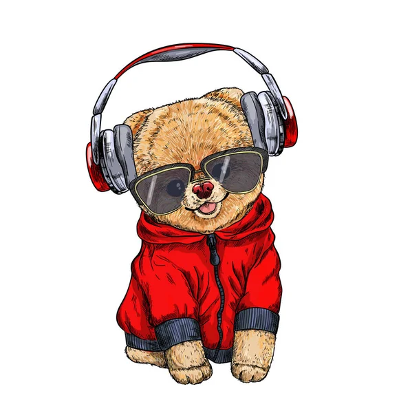 Cute pomeranian toy dog dressed in red hoodie — Stock Vector