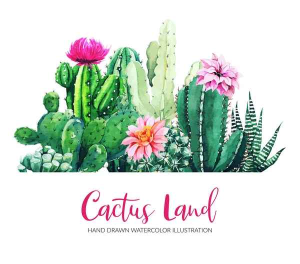 Banner horizontal con cactus acuarela y plantas suculentas — Vector de stock