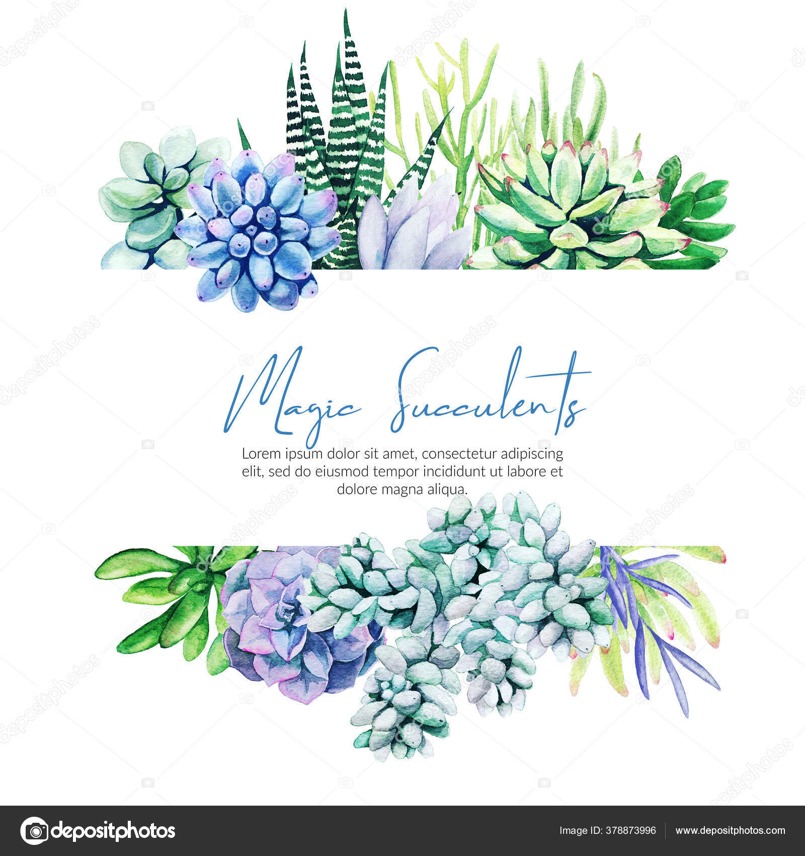 Horizontal banner with watercolor cactus and succulent plants Stock  Illustration by ©nurofina #378873996, image size:1600x1700