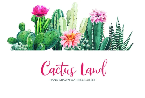 Banner horizontal com cacto aquarela e plantas suculentas — Fotografia de Stock