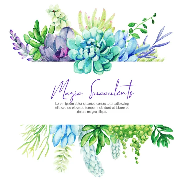 Horisontell banner med akvarell kaktus och saftiga växter — Stockfoto