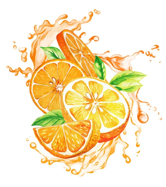Orange fruit and leaves in the splash of orange juice — Stock Vector