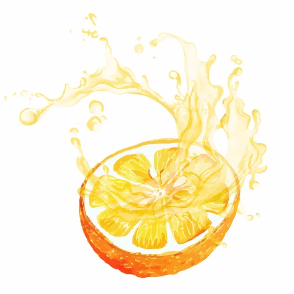 Half of citrus fruit with splash of juice — Stock Vector