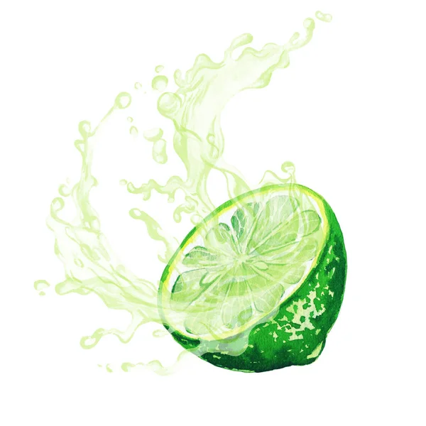 Half of lime fruit with splash of juice — Stock fotografie