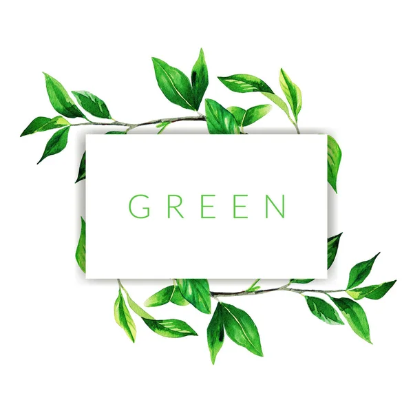 Рука намальовані гілки акварелі з зеленим листям рамки — стокове фото