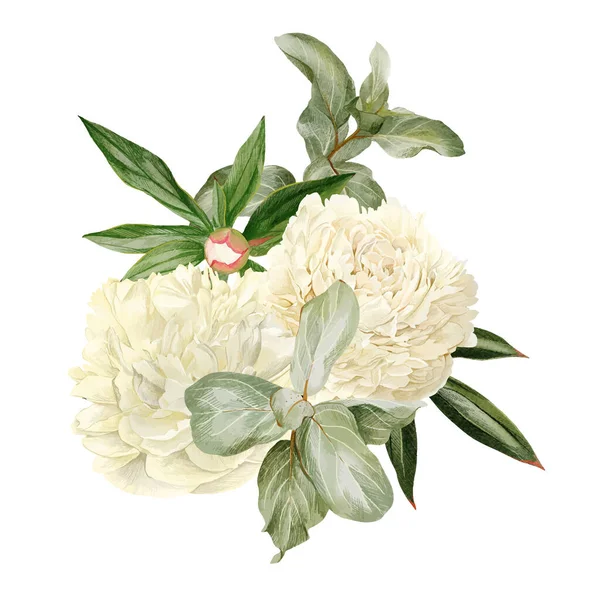 Peonie bianche, foglie ed Elaeagnus, vettore disegnato a mano — Vettoriale Stock