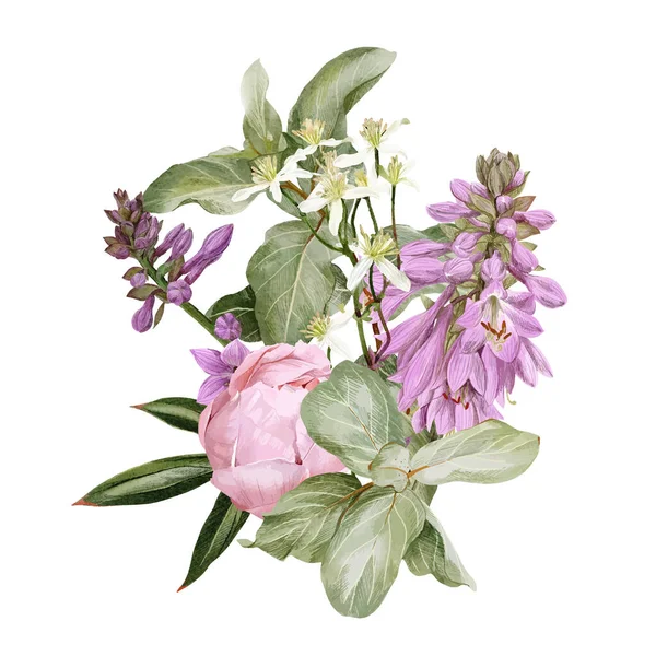 Peonías rosadas, flores de hosta, clematis y rama de siverberry — Vector de stock