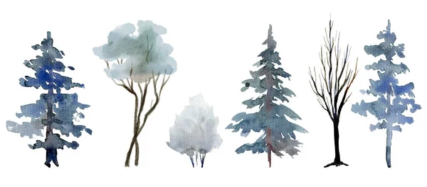 Árvores nevadas e arbustos, elementos de cena de inverno, floresta de inverno azulada —  Vetores de Stock