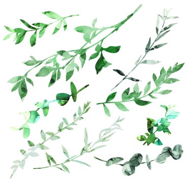 Mürekkep desenli farklı dallar kümesi