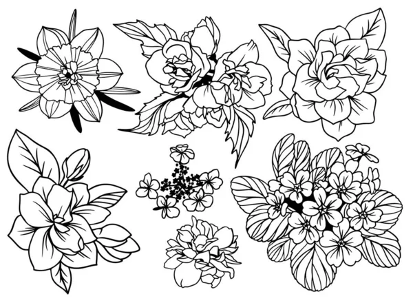 Conjunto de flores vista superior con hojas — Archivo Imágenes Vectoriales