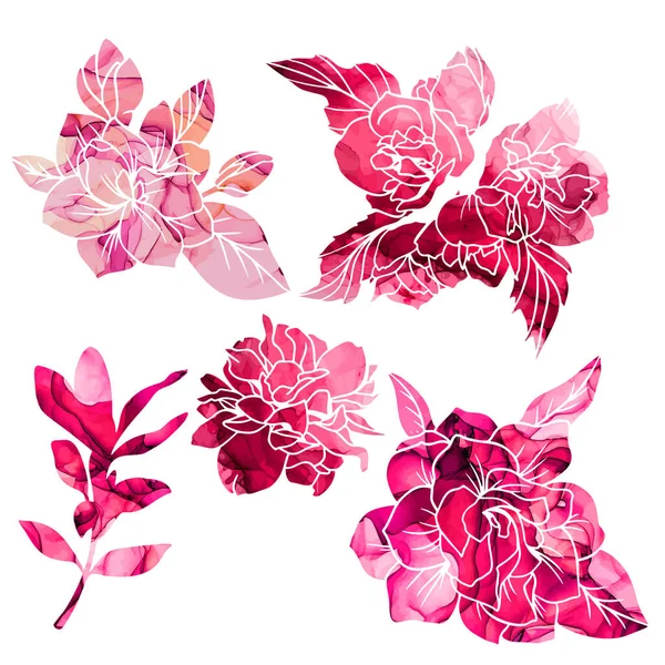 Magnólia texturizada vermelha e rosa e flores de jasmim —  Vetores de Stock