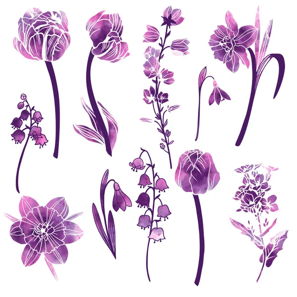 Set di fiori primaverili con texture astratta viola — Vettoriale Stock