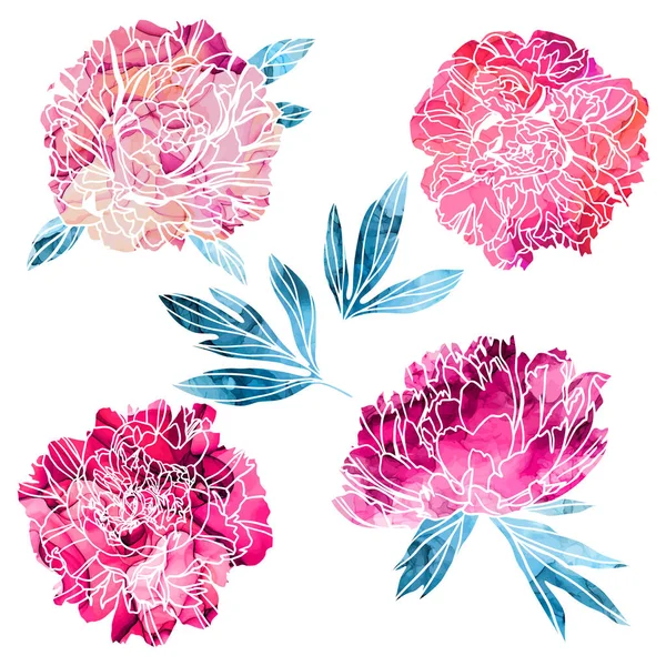 Peonie e foglie lussureggianti, illustrazione vettoriale disegnata a mano — Vettoriale Stock