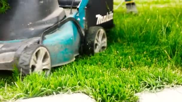アストラハン, ロシア, 2018年 5 月の 27: 仕事でマキタ ブランドの芝刈り機。芝刈り芝刈り機のクローズ アップ — ストック動画