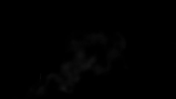 黑色的深灰色烟雾线圈 — 图库视频影像