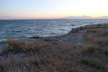 Yalı taşlarının üzerinde kuru ciğeri