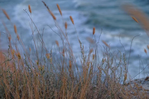 Grassanddüne und Blick auf stürmische See — Stockfoto