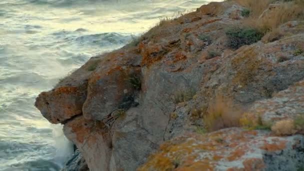 Vie op zee uit rots — Stockvideo