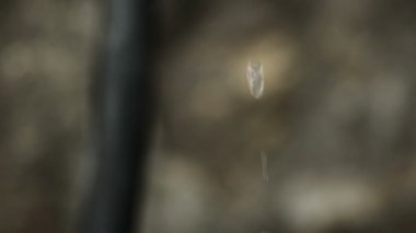 Aşağı düşen su damlaları