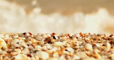 Kabukları defocused forefround deniz sörf arka kapak