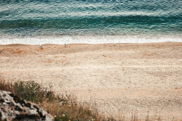 Vue du dessus de la côte avec goélands marins au repos — Photo