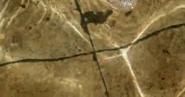 Hypnotiska spela av förvrängd botten med mönster av kakel och ljus genom grunt vatten — Stockvideo