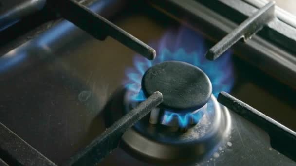 Working gas burner from above — Stock Video