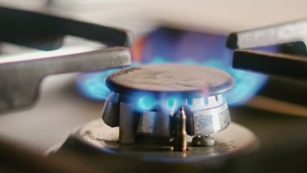 Closeup shot of the blue flames of the burner of a gas stove. — Stock Video