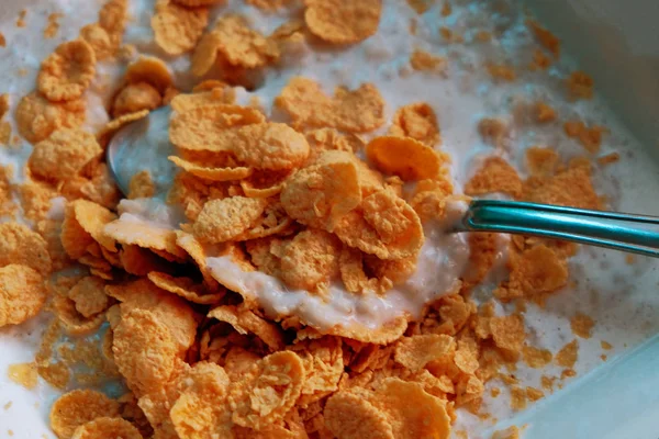 Closeup of crispy cornflakes with milk or yoghurt — Stock Photo, Image