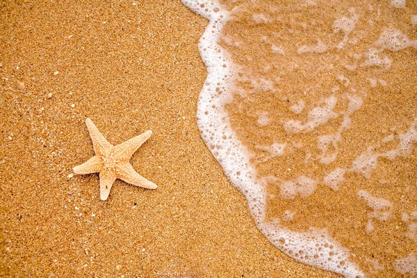 Starfish Sobre Costa Arenosa Surf Vindo — Fotografia de Stock