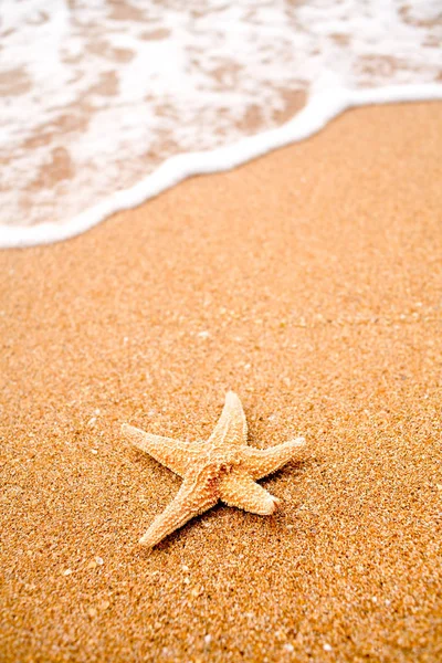 Seastar na areia da praia e surfar vindo um monte de copyspace, ninguém ao redor, viagem ou férias resto conceito — Fotografia de Stock