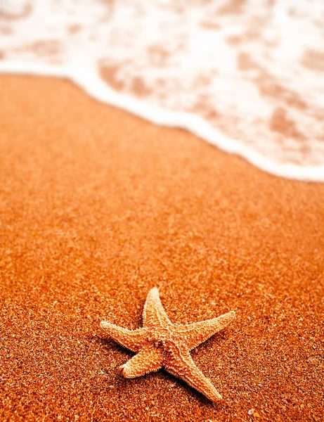 Seastar na areia da praia e onda vinda um monte de copyspace, ninguém ao redor, viagem ou conceito de férias — Fotografia de Stock