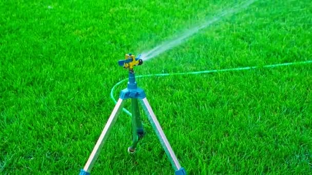 Sprinkler system on tripod — Stock Video