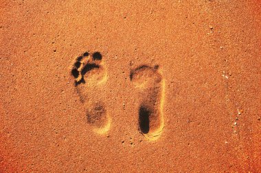 İnce kumda ayak izleri