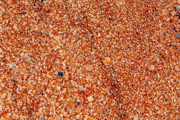 Coarse Sand Surface Chips Sea Shells — Stock Photo, Image